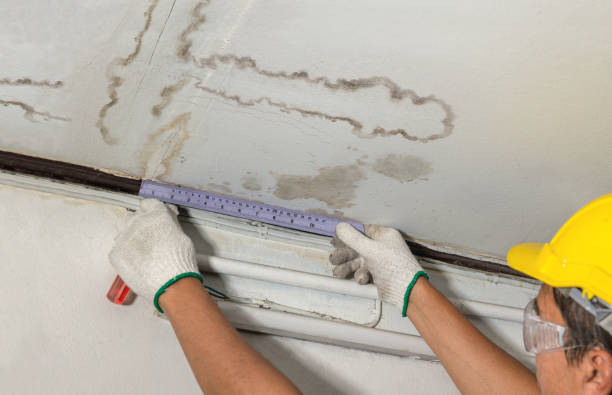 Reliable Mold Remediation contractor in Booneville, MS by Water Damage Irwin
